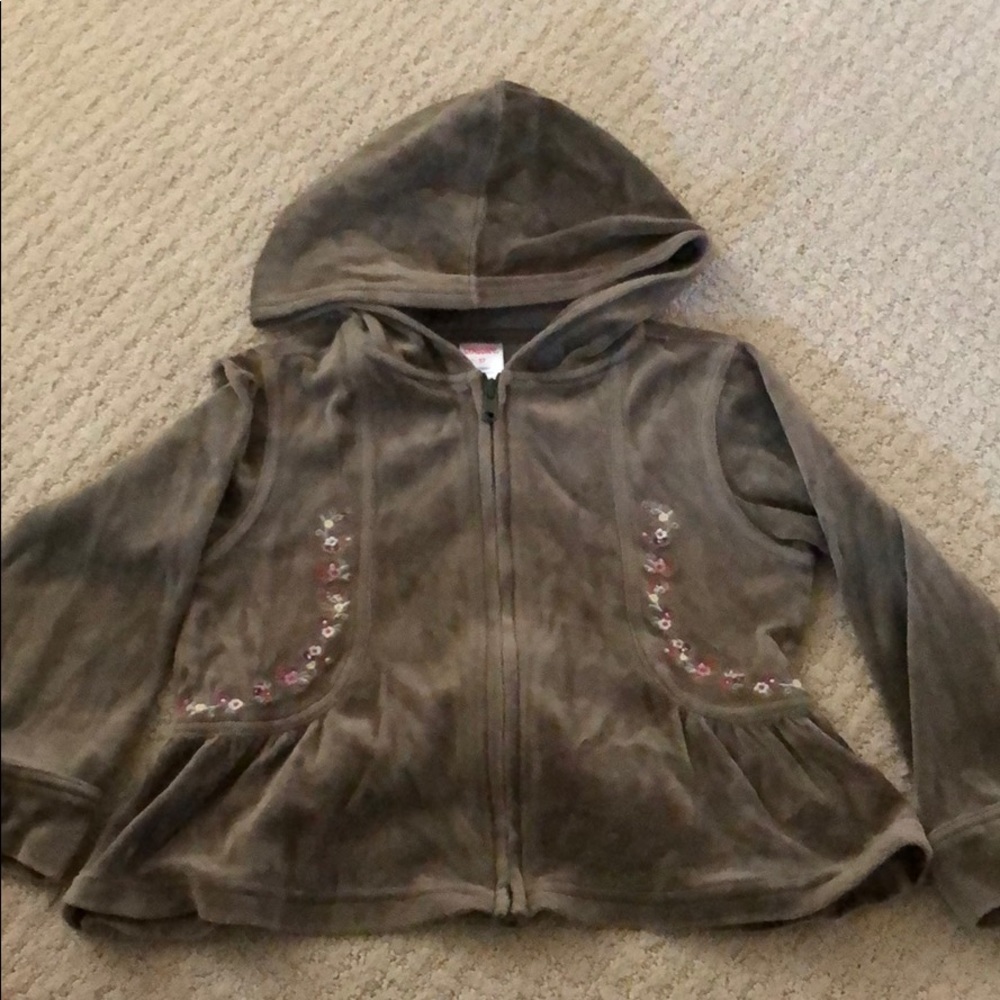 Gymboree velvet hoodie
